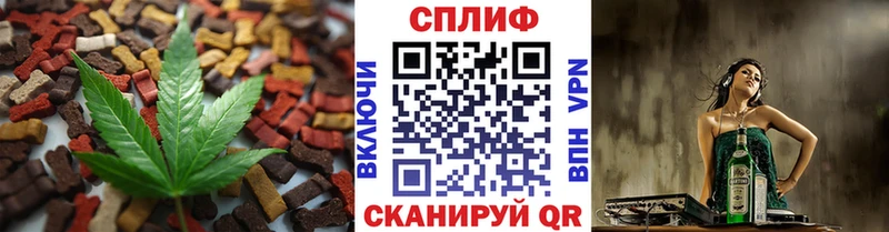 Canna-Cookies конопля  купить  цена  Магас 