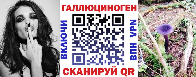 Псилоцибиновые грибы мицелий  купить наркоту  маркетплейс формула  Магас 